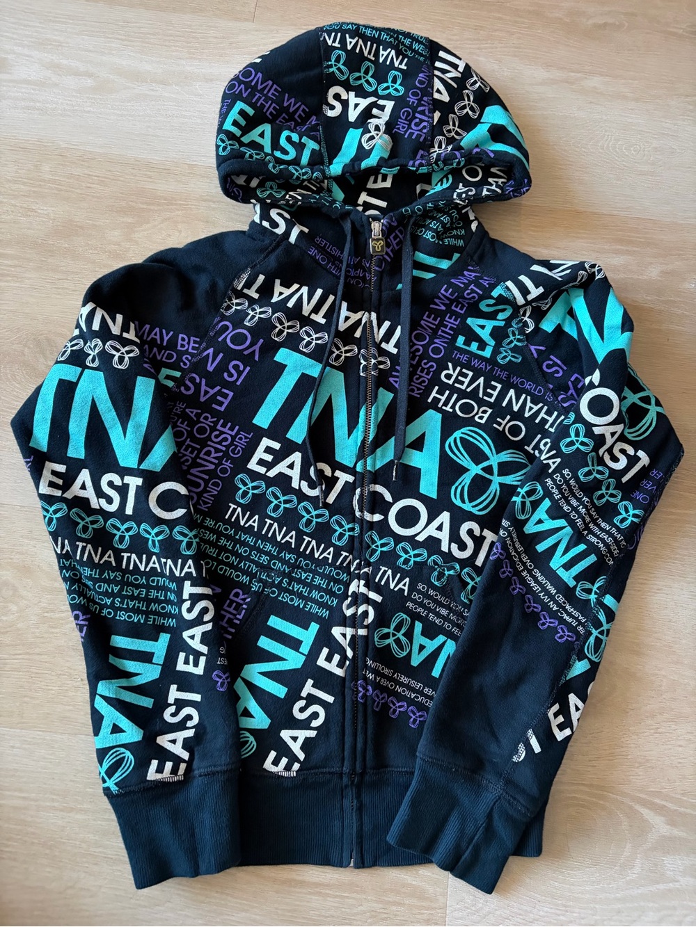 Vintage TNA Aritzia East Coast Graphic Zip Hoodie XS Y2K